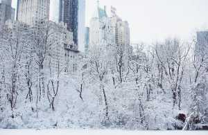 Знаменитай Зимний Вальс Доги и Центральный парк в Нью-Йорке в снегу | Елена Дружелаускайте
